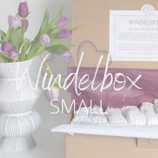 Windelbox - Windeltestbox Small